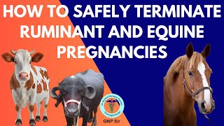 VetroMedical Termination of Pregnancy in Ruminants and Horses [upl. by Aldarcy]