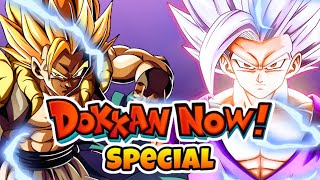 ✨Dokkan Now Livestream 9th Year Anniversary details amp More✨ [upl. by Lundell]