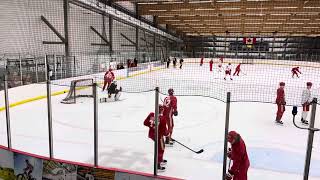 Calgary Flames Development Camp  Basha Honzek Coronato vs Yegorov [upl. by Brinson]