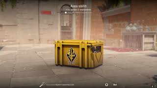 DAY 239 OPENING CS2 CASES UNTIL I GET GOLD [upl. by Maier]