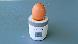 5 New Egg Gadgets put to the Test  Part 8 [upl. by Eisseb778]