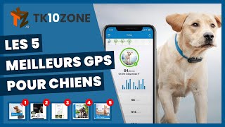 Les 5 meilleurs gps pour chiens [upl. by Henrik425]