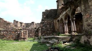 Ranthambhore Fort  Rajasthan [upl. by Annet]