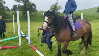 Eskdale pony club rally Sunday 16th July 2024 carlenrig [upl. by Araed]