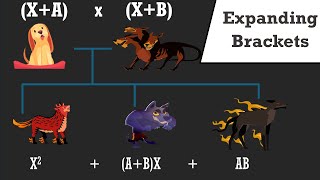 Expanding Brackets  The Non Boring Math Textbook  v2 [upl. by Nivat539]