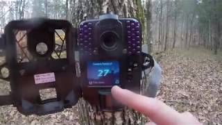 Spypoint Force Trail Camera Review  Setup  Best 100 trail camera [upl. by Ariuqahs]