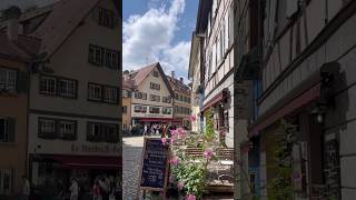 Vlog  visite de Strasbourg et son architecture lifestyle strasbourg vacances 💕 [upl. by Sueahccaz834]