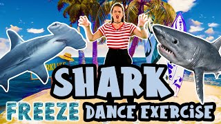 Shark Exercise Dance  Freeze Dance  Indoor PE Workout for kids [upl. by Eanom]