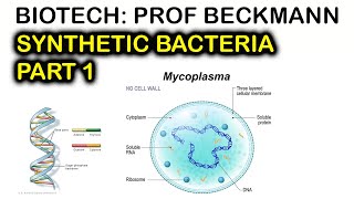 Synthetic Bacteria  part 1  Transposon Mutagenesis  Biotech 2023 [upl. by Hyacinthe]