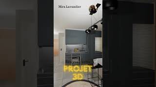 Projet 3D d’aménagement de studio de 30m2 miralavandier hometour [upl. by Lenroc]