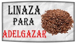 Beneficios De La Linaza Para Adelgazar  Tips Para Bajar De Peso [upl. by Kaile]