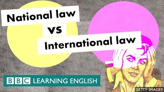 National law vs international law  An animated explainer [upl. by Shaylah142]