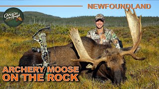 Stunning Moose Hunt during the Rut in Newfoundland BIG Moose Action  Canada in the Rough [upl. by Nevyar743]