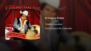 Chalino Sanchez El Pajaro Prieto [upl. by Eleen335]