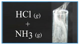 Reaction of NH3 g  HCl g Can two gases make a solid 🌪 [upl. by Elamrej765]