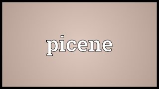 Picene Meaning [upl. by Ppik]