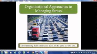 Organizational Behavior Chapter 7 [upl. by Lemrac]