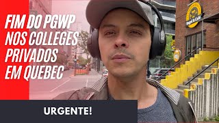 URGENTE  Fim do PGWP em Quebec  Matt Gazzola [upl. by Tterab]