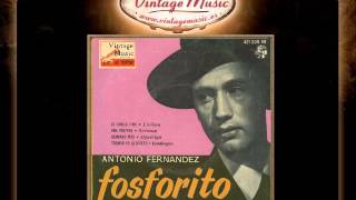 Fosforito  Todavía Yo La Quiero Fandangos VintageMusices [upl. by Nuris]