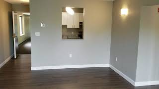 Carson Beach Upgraded 2 Bed2 Bath 100402 [upl. by Tengdin682]