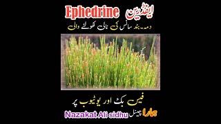 Ephedrine ephedra medicine treatment therapy [upl. by Idroj366]