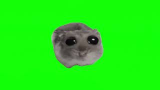 Sad Hamster singing meme green dcreen [upl. by Liebman]