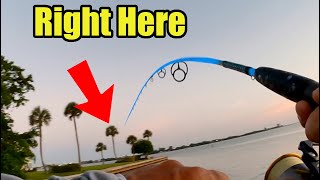 This Is Why I Fish Here Ebike Fishing Hovsco HovBeta [upl. by Kecaj]