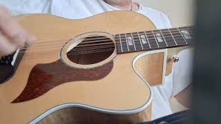 quik video of the new Sawtooth 12 string Acoustic Guitar [upl. by Enahsed]