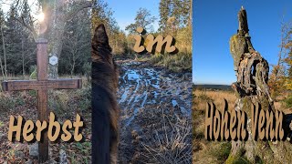 Herbst im Hohen Venn [upl. by Brigg]