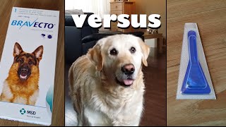 My Dog testing Bravecto Pill vs Spot Ons Anti Flea and Tick protection [upl. by Garth]