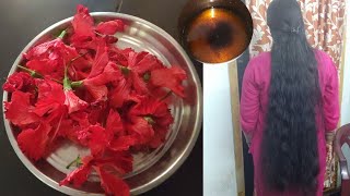 Mandara thailam hair oil in teluguHibiscus oil preparation in teluguhibiscus oil making at home🌺 [upl. by Bernardi]