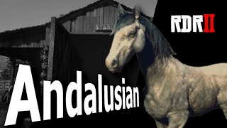 Red Dead Redemption 2 ANDALUSIAN  Location coats stats and more [upl. by Wye]