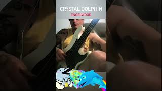 Crystal Dolphin  Engelwood Bass Cover [upl. by Norvol432]