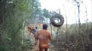 Tire Hunts Spartan during Spartan Race  Charlotte NC 03232013 [upl. by Attaynik553]