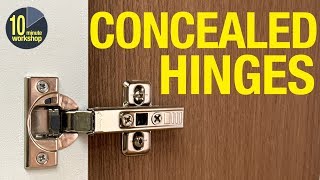 How to fit concealed Eurostyle hinges for overlay amp inset cabinet doors video  348 [upl. by Remus598]