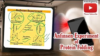 Anfinsen Experiment of Protein Folding  RNAse Folding Experiment  Dr Nagendra Singh  PENS41 [upl. by Torres651]