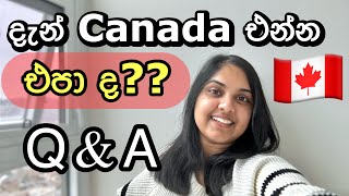 දැන් Canada එන්න එපාද 🇨🇦 Canada Situation  Immigration Rules  Sinhala  Canada SL canada qna [upl. by Ethelda]