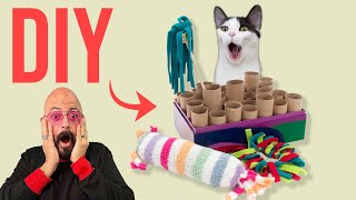 Make Your Cat Happy with DIY Cat Toys [upl. by Eniamrehs192]