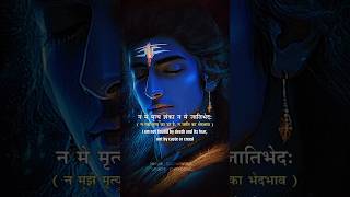 Nirvana shatakam MAGICAL Mantra Close Your Eyes amp Feel the STRONG ENERGY of Lord SHIVA verse 5 shv [upl. by Serrell741]