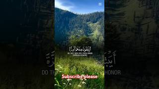 Most Beautiful Heart touching Quran Pak Tilawat shortfeed qurantilawathearttouchingvoice [upl. by Gleeson]