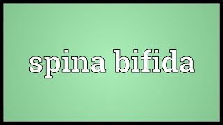 Spina bifida Meaning [upl. by Ihtraa]