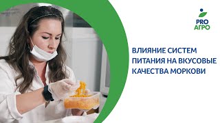 Влияние систем питания на вкусовые качества моркови [upl. by Maybelle]