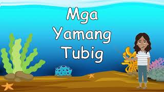 Mga Yamang Tubig  Teacher Bunny [upl. by Yekcin340]