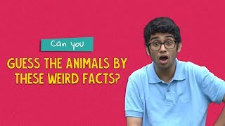 Can You Guess The Animals By Their Weird Facts  Ok Tested [upl. by Madox131]