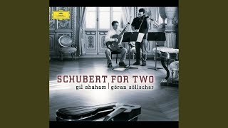 Schubert Sonata For Arpeggione And Piano In A Minor D821  1 Allegro moderato [upl. by Aicenad379]