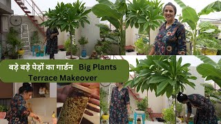 Terrace  Balcony Garden बड़े बड़े पेड़ों का गार्डन नंबर 3 Diet Recipe amp Kitchen Decoration Ideas [upl. by Annoyi408]