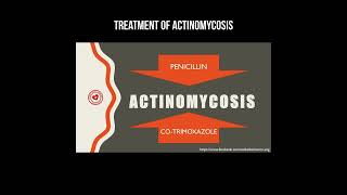 Treatment of actinomycosis actinomyces actinomycosis infection [upl. by Laforge969]