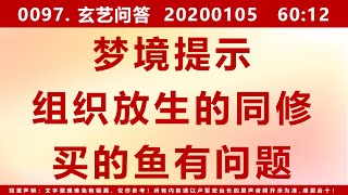 【问答0097】梦境提示经常组织放生的同修买的鱼有问题 20200105 60：12 [upl. by Nalced]