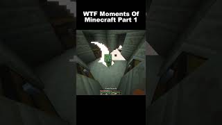 Minecraft WTF Moments Part 1 minecraft minecraftjokeshindi funny wtfmoment funnymoments lol [upl. by Reinertson670]