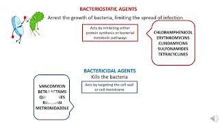 Bacteriostatic vs Bactericidal Agents [upl. by Namar285]